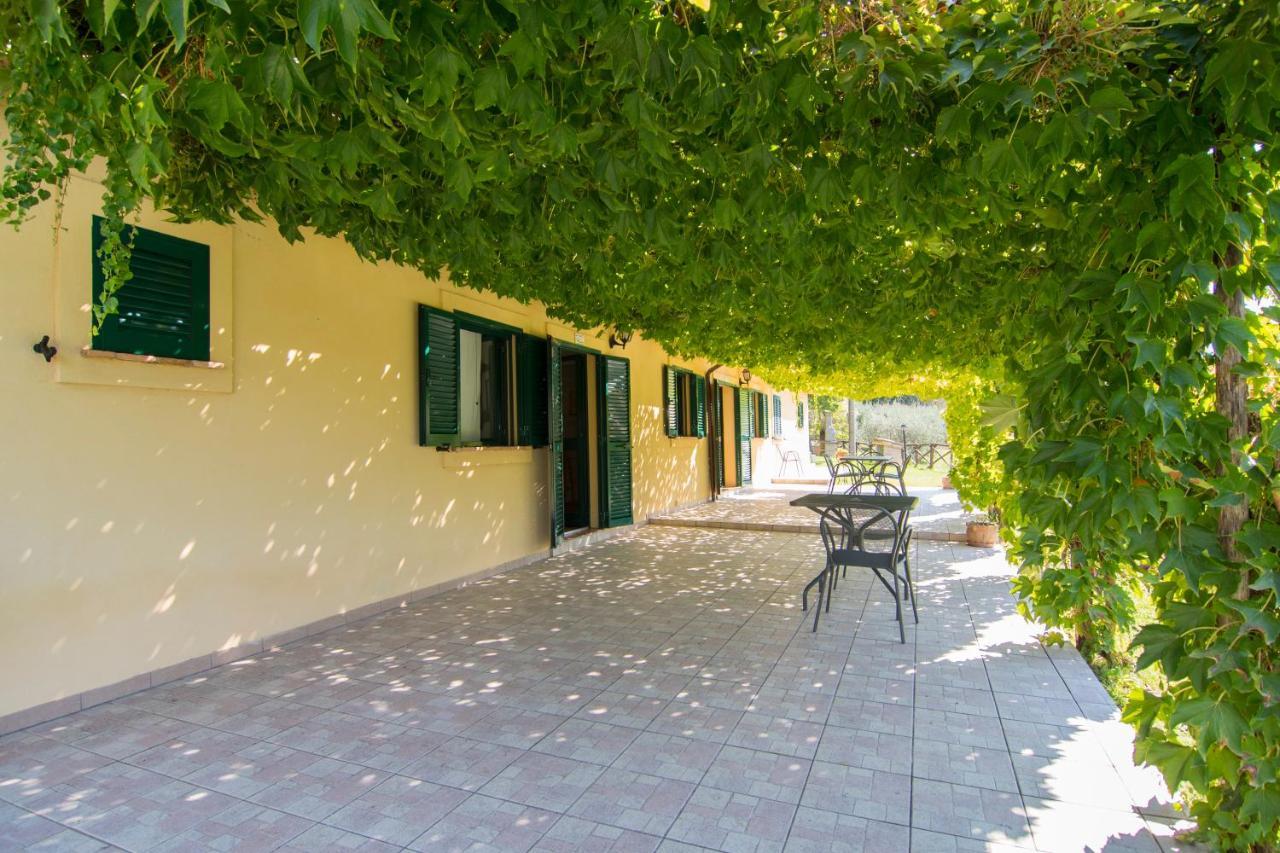 Agriturismo La Montagnola Torgiano Esterno foto